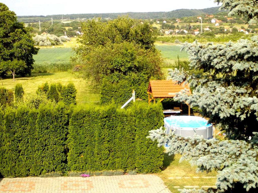 Anikó Apartmanház Balatonfoldvar Exterior foto